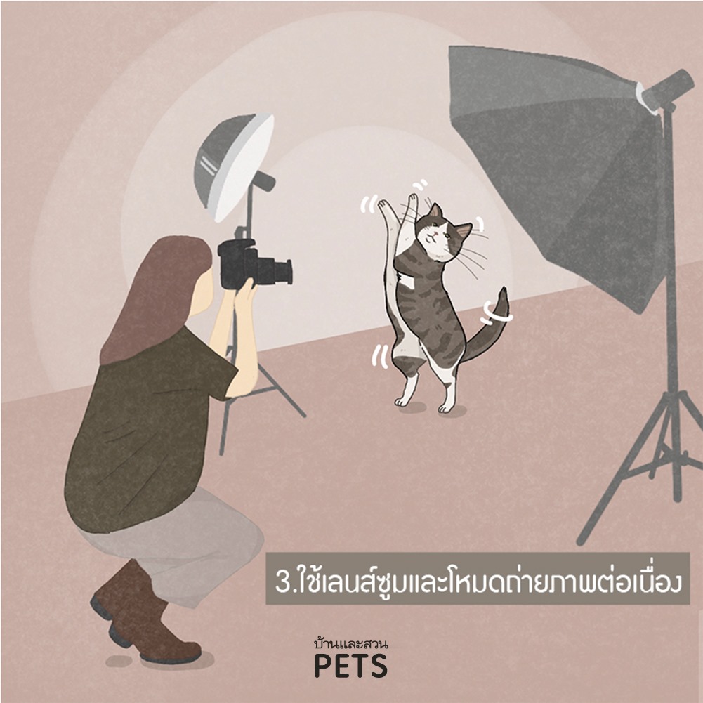 ถ่ายภาพสัตว์เลี้ยง