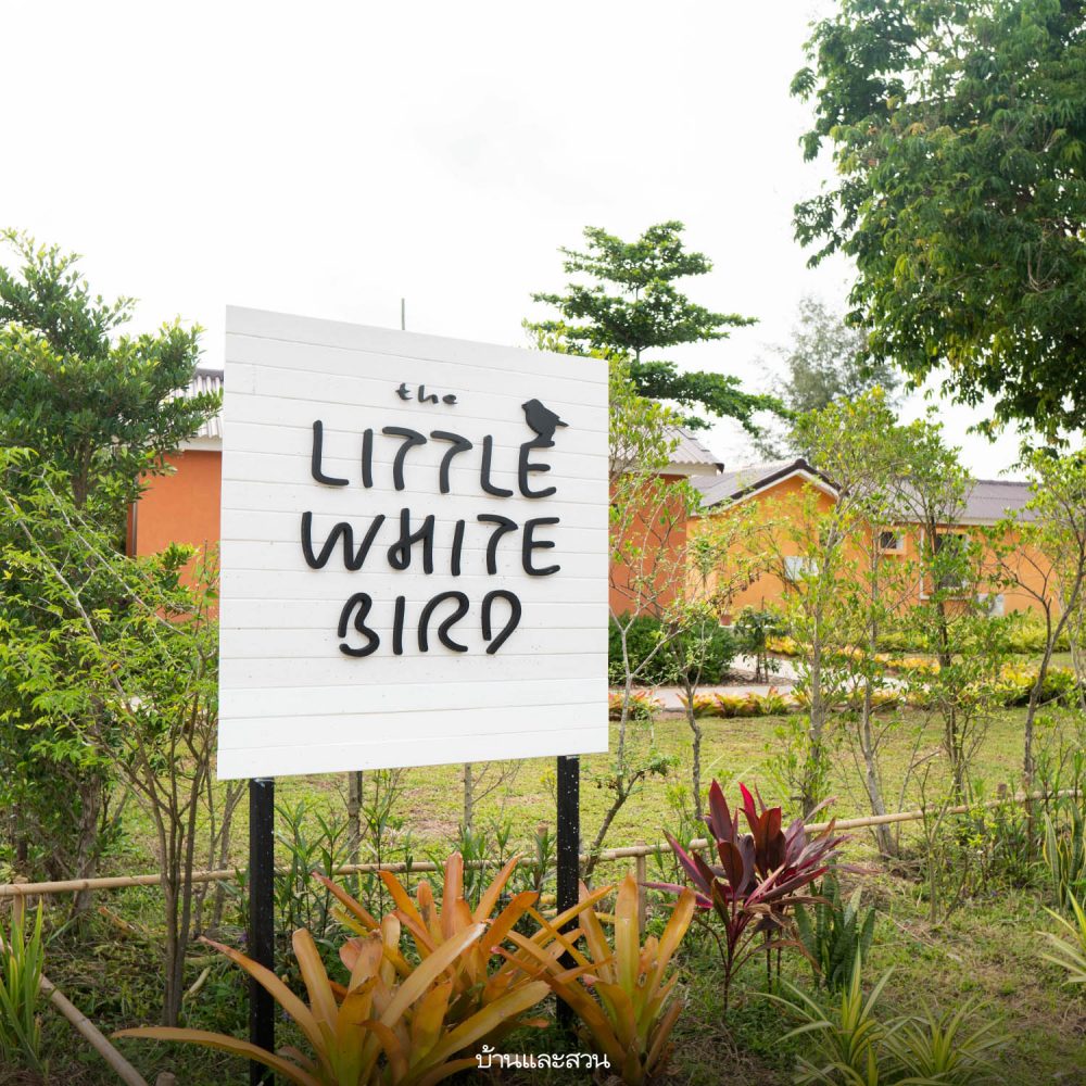 The Little White Bird Guest House ที่พักเกาะกูด