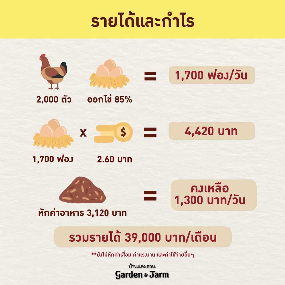 ทำฟาร์มเลี้ยงไก่ไข่