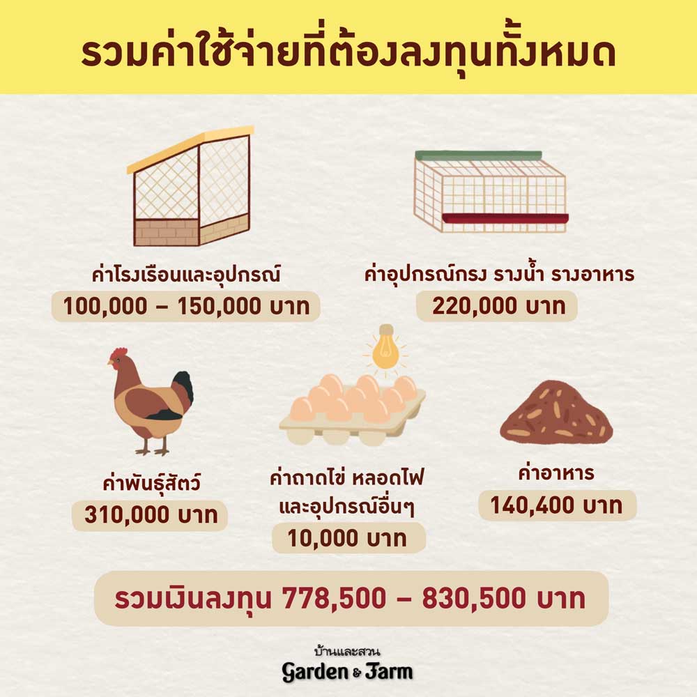 ทำฟาร์มเลี้ยงไก่ไข่