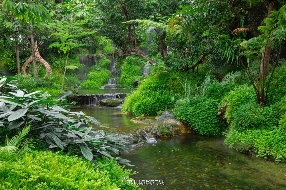 สวนน้ำตก waterfallgarden