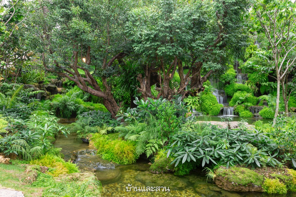 สวนน้ำตก waterfallgarden