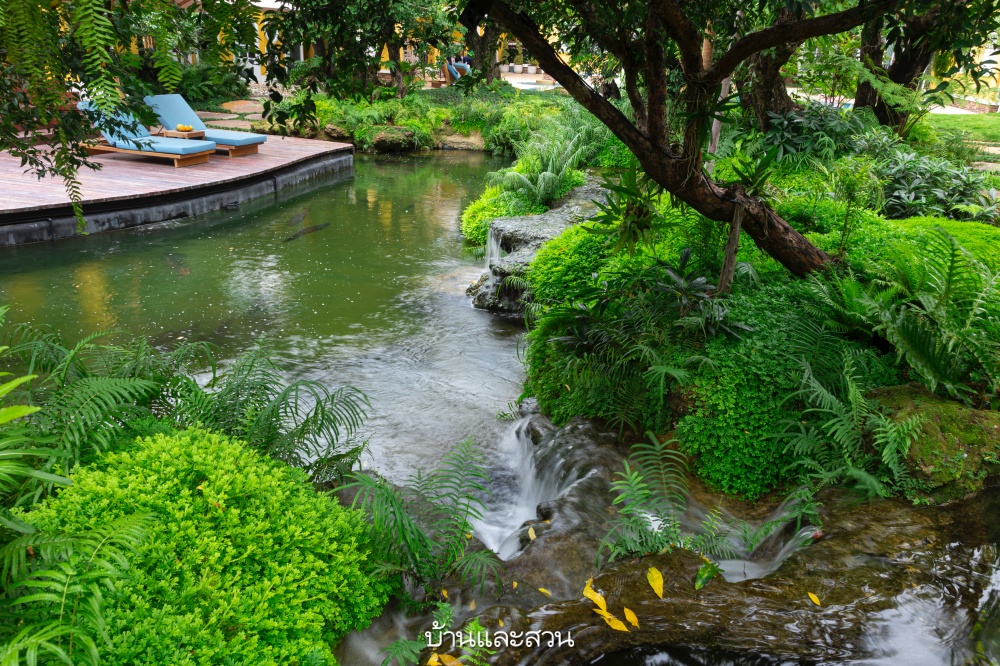 สวนน้ำตก waterfallgarden