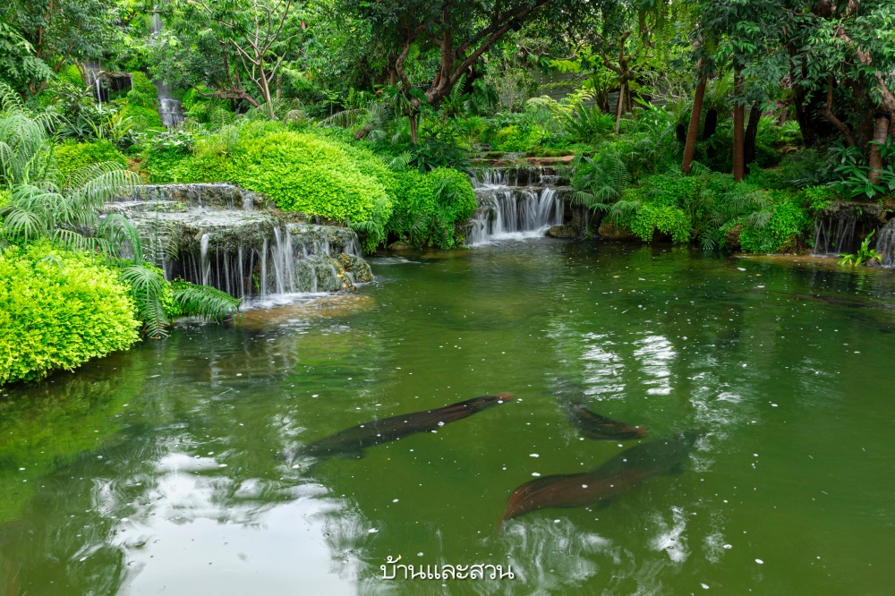 สวนน้ำตก waterfallgarden