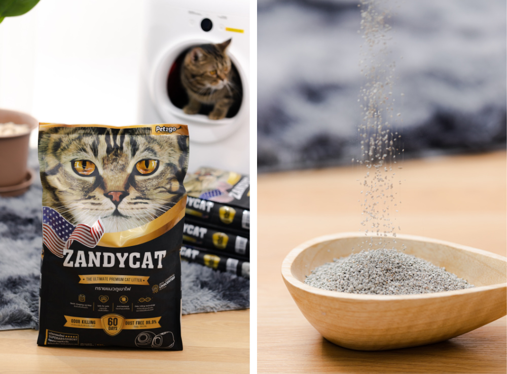 ZANDYCAT ทรายแมว ห้องน้ำแมว เลือกทรายแมว ห้องน้ำแมวอัตโนมัติ เลือกห้องน้ำแมว