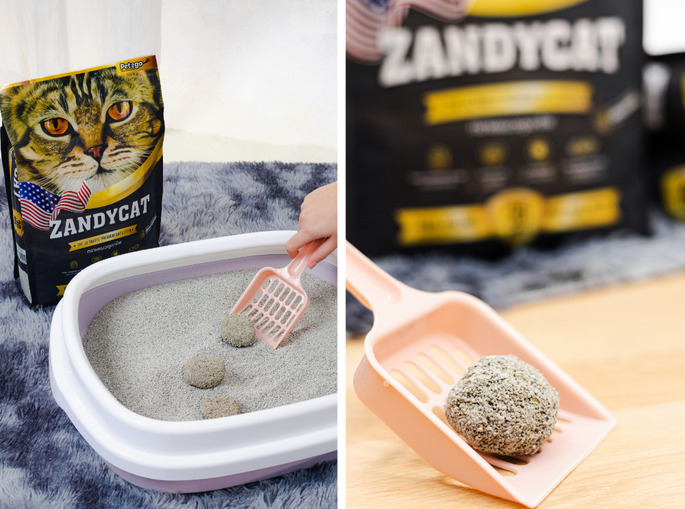 ZANDYCAT ทรายแมว ห้องน้ำแมว เลือกทรายแมว ห้องน้ำแมวอัตโนมัติ เลือกห้องน้ำแมว