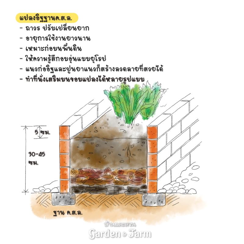 แปลงผัก