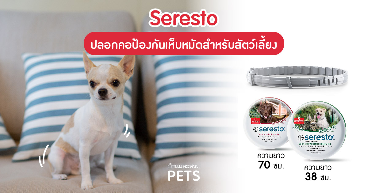 Seresto ปลอกคอป้องกันเห็บหมัด