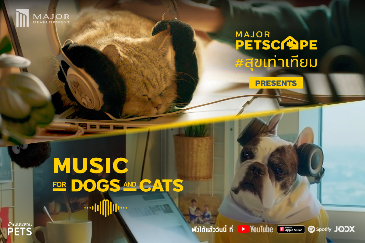  Music for Dogs & Cats
