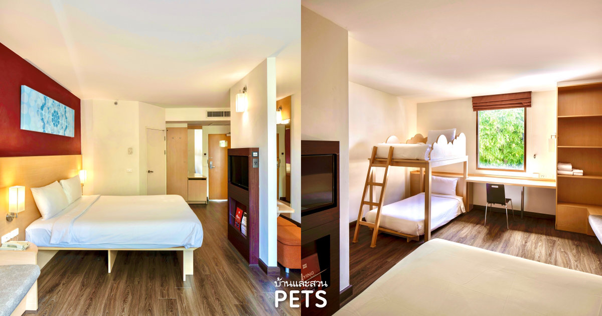  Pet Friendly Hotels