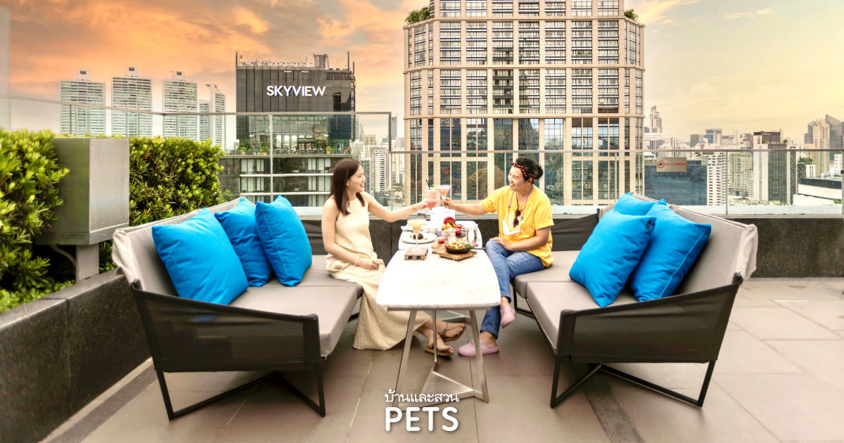  Pet Friendly Hotels