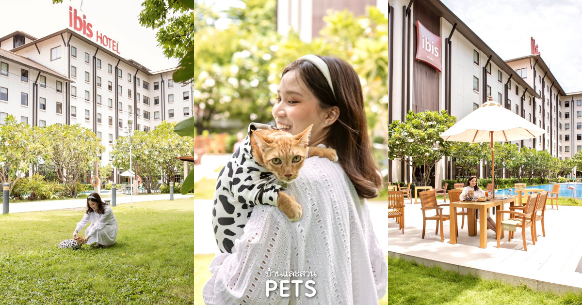  Pet Friendly Hotels