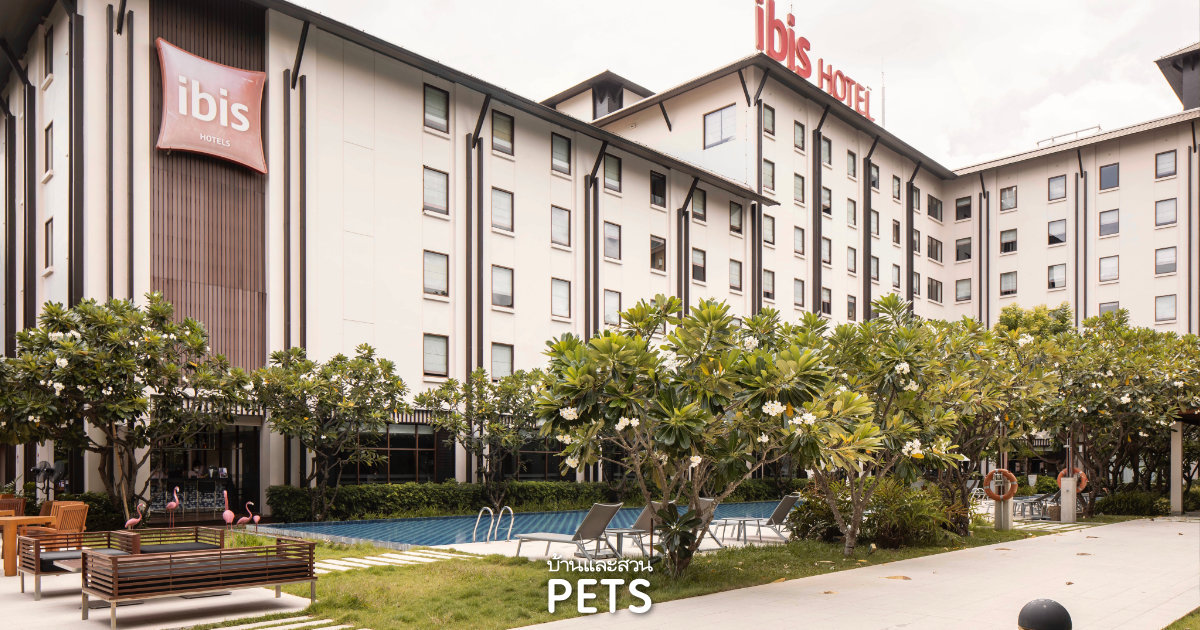  Pet Friendly Hotels