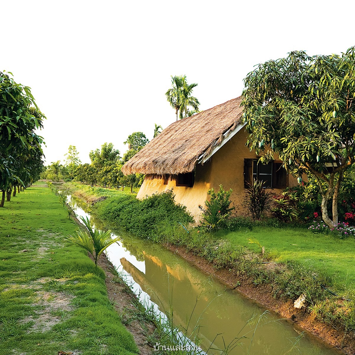 แบบบ้านสวนบ้านฟาร์ม 