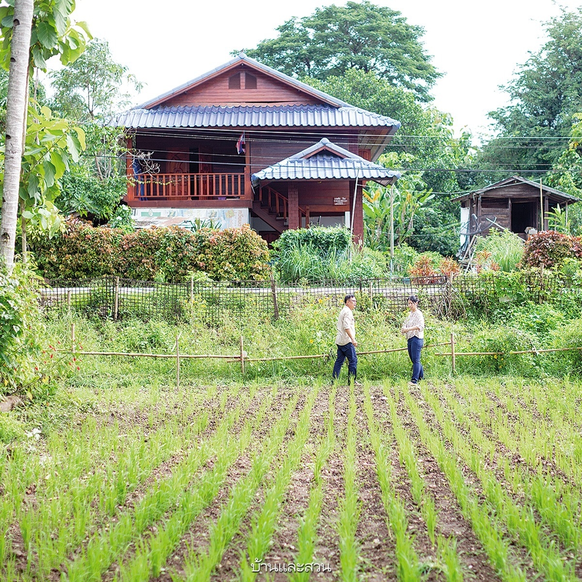 แบบบ้านสวนบ้านฟาร์ม 