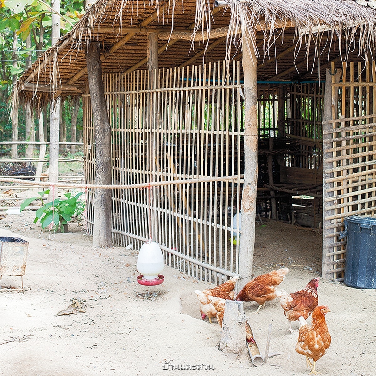 แบบบ้านสวนบ้านฟาร์ม 