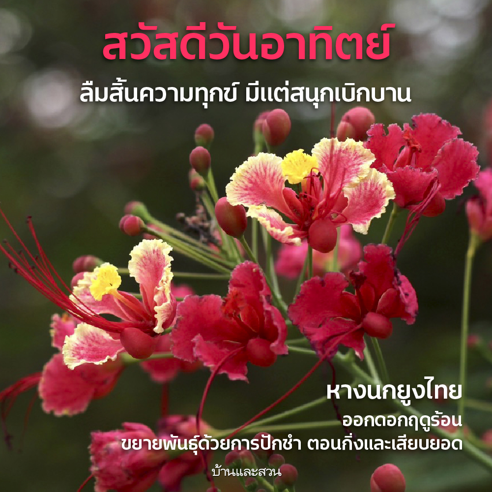 สวัสดีวันจันทร์