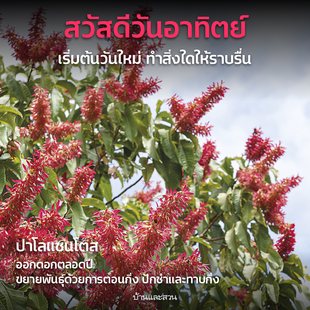 สวัสดีวันจันทร์