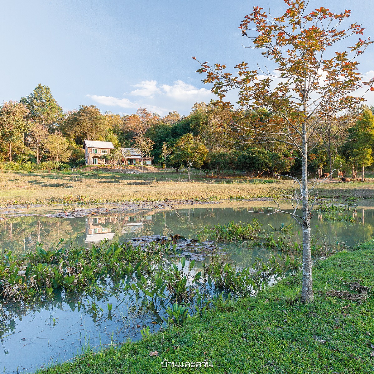 แบบบ้านต่างจังหวัดสวยๆ อยู่สบาย