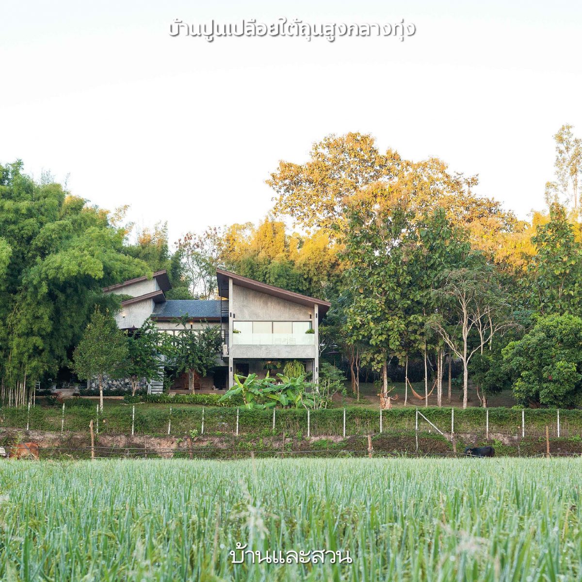 แบบบ้านต่างจังหวัดสวยๆ อยู่สบาย