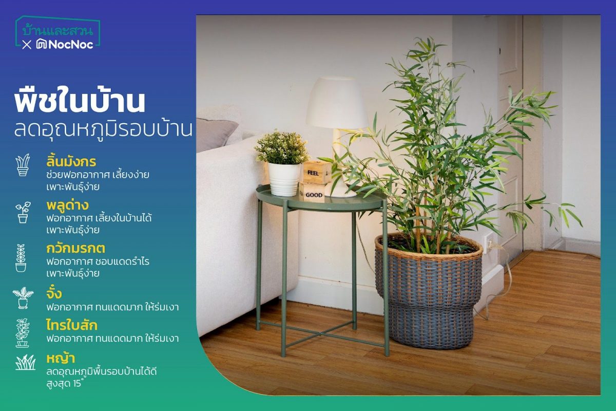 บ้านร้อนทํายังไง