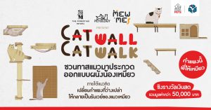 cat wall cat walk