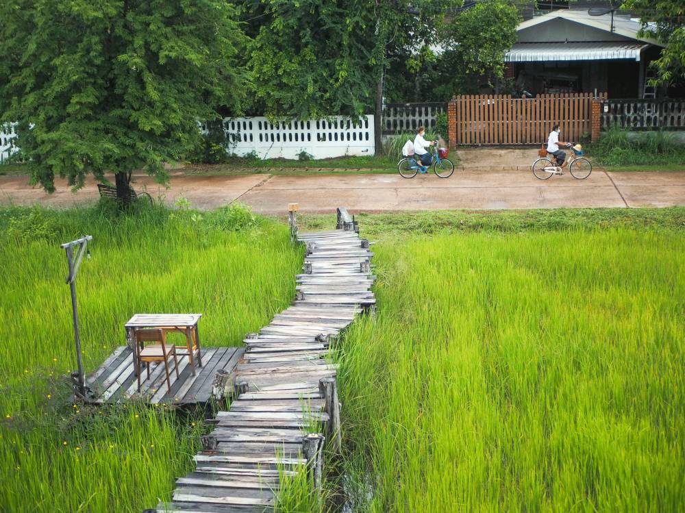 สะพานไม้