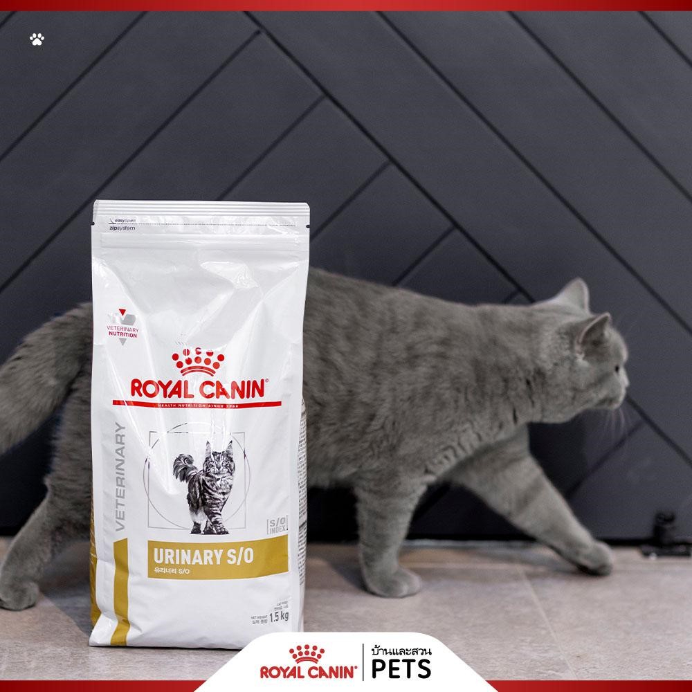 Royal Canin