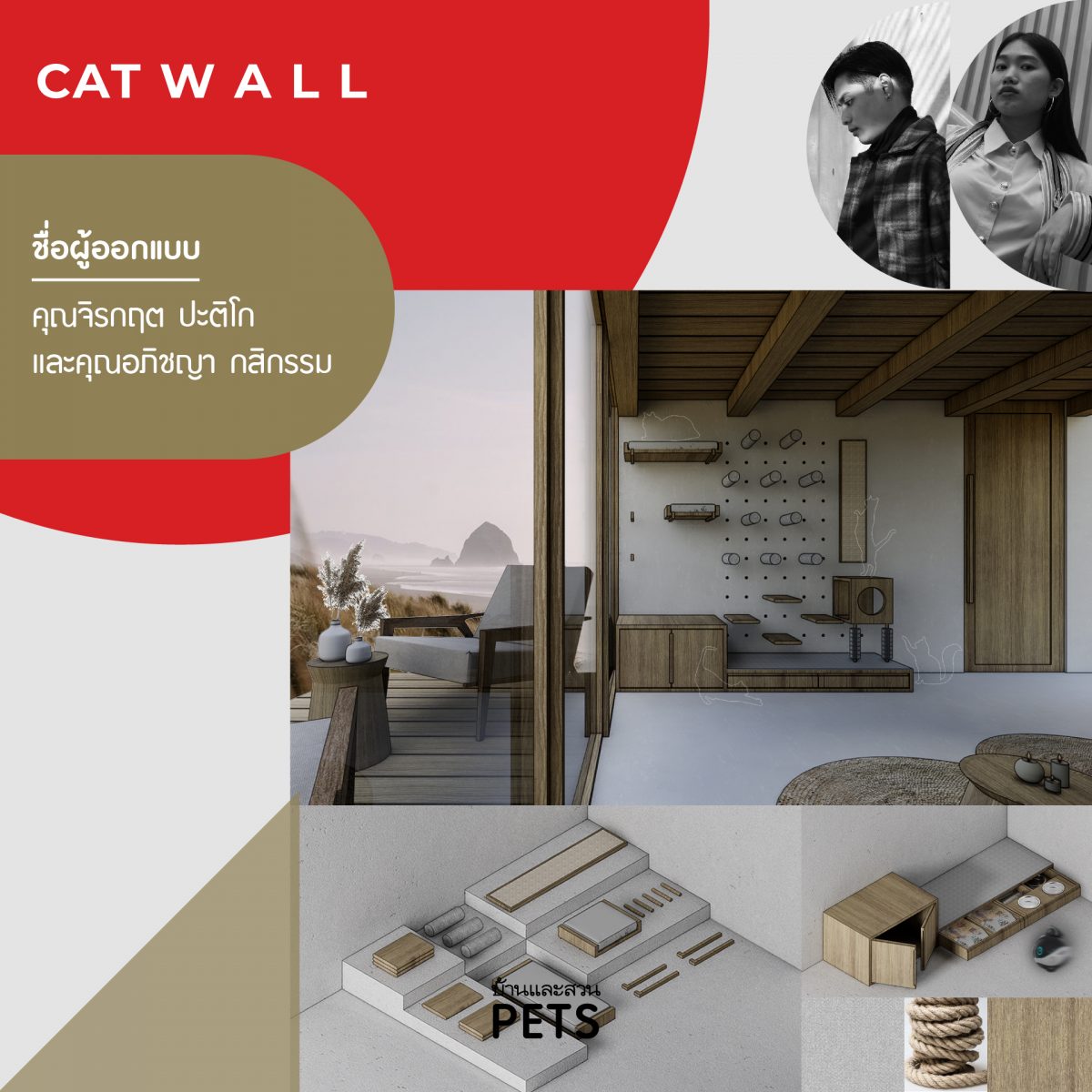 Cat wall cat walk