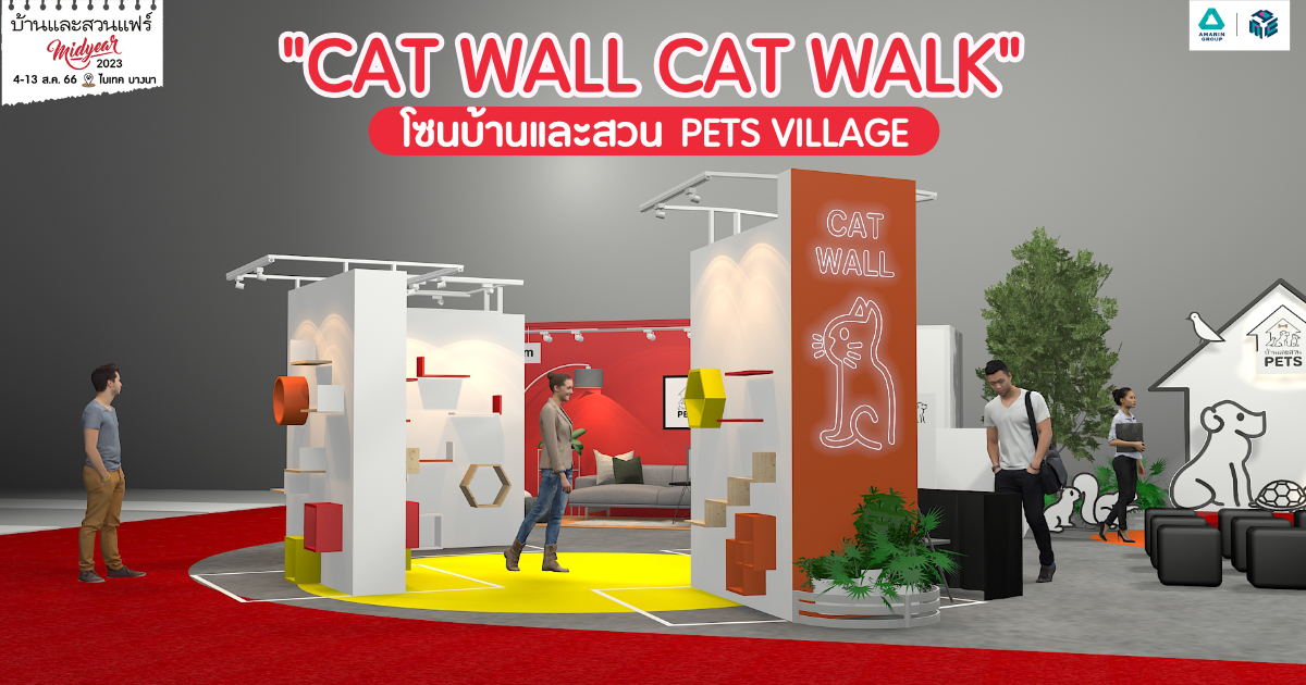 Cat wall cat walk