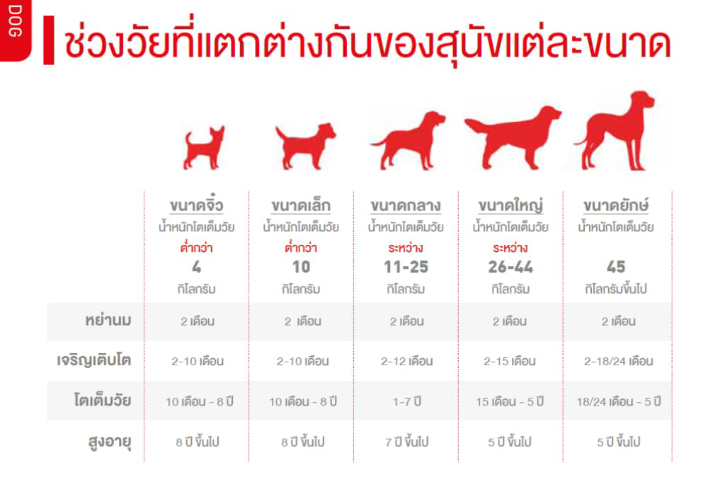 royal canin, อาหารสุนัข, อาหารน้องหมา, เลือกอาหารสุนัข, อย่างไร, เลือกอาหารน้องหมา, อาหารสุนัข royal canin