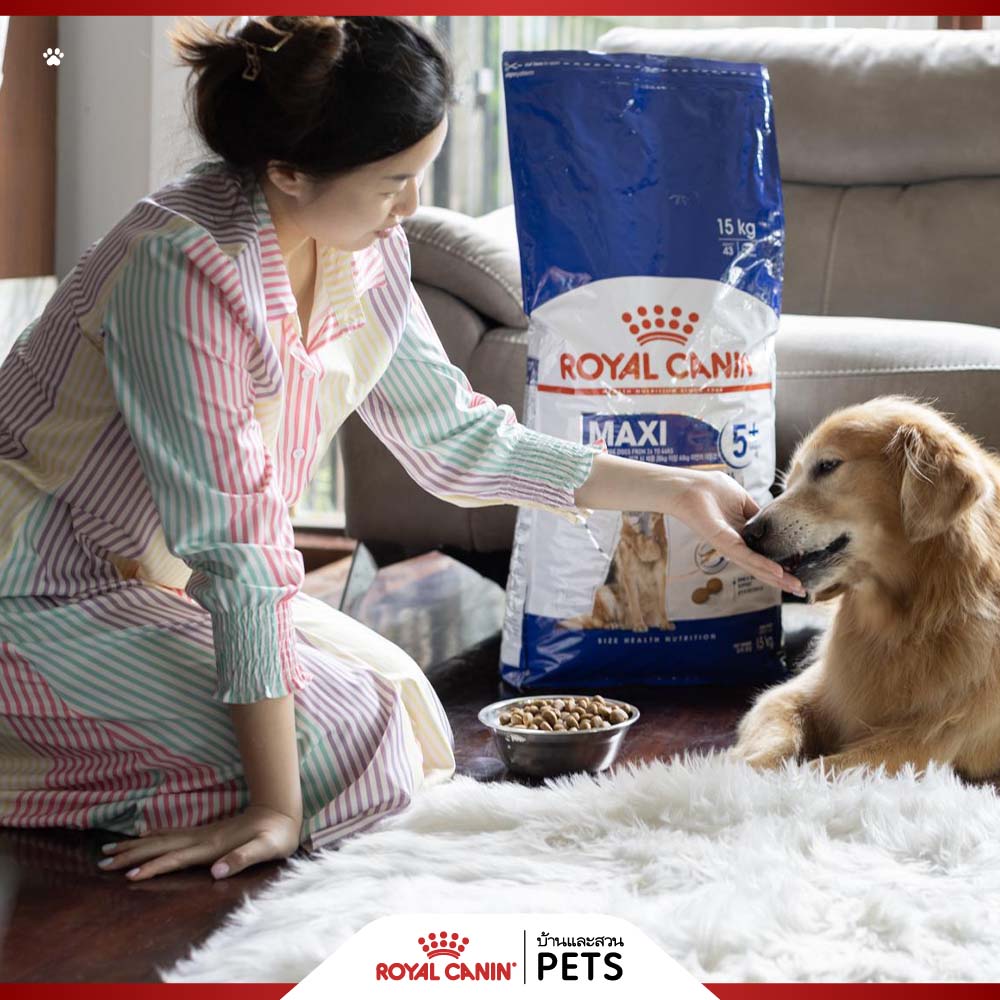 royal canin, อาหารสุนัข, อาหารน้องหมา, เลือกอาหารสุนัข, อย่างไร, เลือกอาหารน้องหมา, อาหารสุนัข royal canin