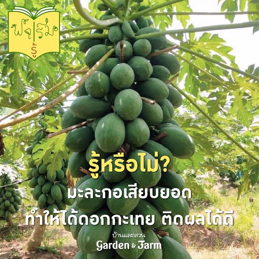 ทำเกษตร