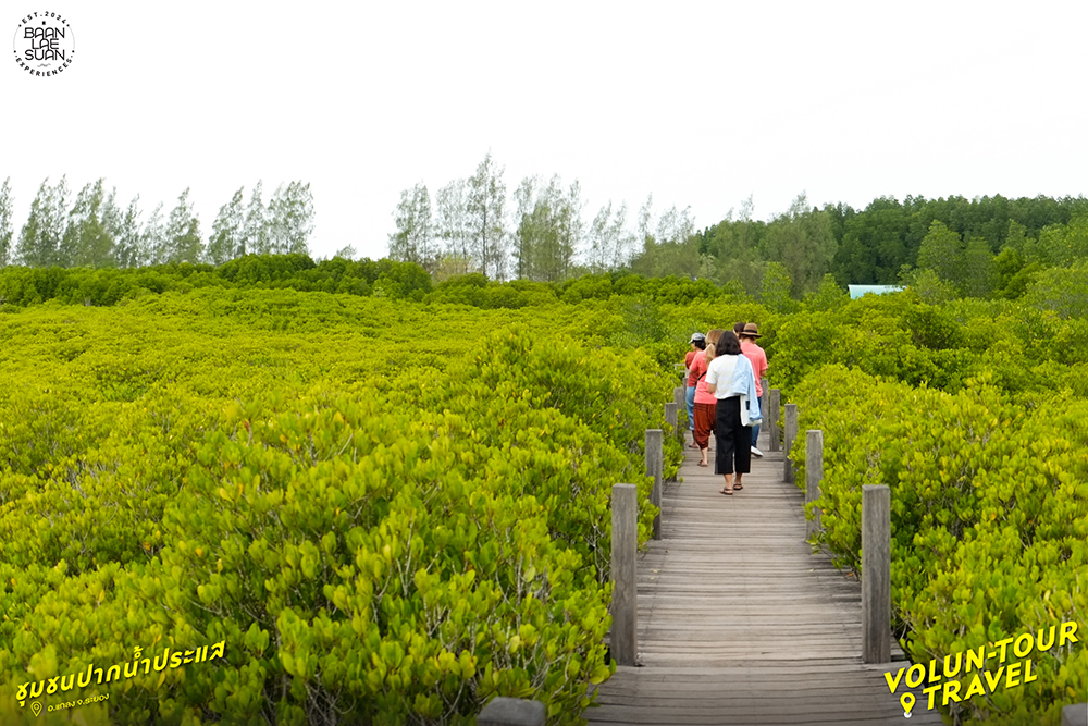 Local Alike ร่วมกับ Baanlaesuan Experiences ชวนคุณไปสัมผัสประสบการณ์การท่องเที่ยวแบบ ‘Volun-tour Travel’ พร้อมกับเรียนรู้วิถีชุมชนใน 3 หมุดหมายแนะนำ ‘ชุมชนบ้านถ้ำเสือ’ อำเภอแก่งกระจาน จังหวัดเพชรบุรี, ‘ชุมชนบางกะเจ้า’ อำเภอพระประแดง จังหวัดสมุทรปราการ และ ‘ชุมชนปากน้ำประแส’ อำเภอแกลง จังหวัดระยอง