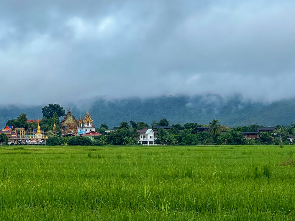 บ้านใต้ถุนสีขาว กลางทุ่งนา