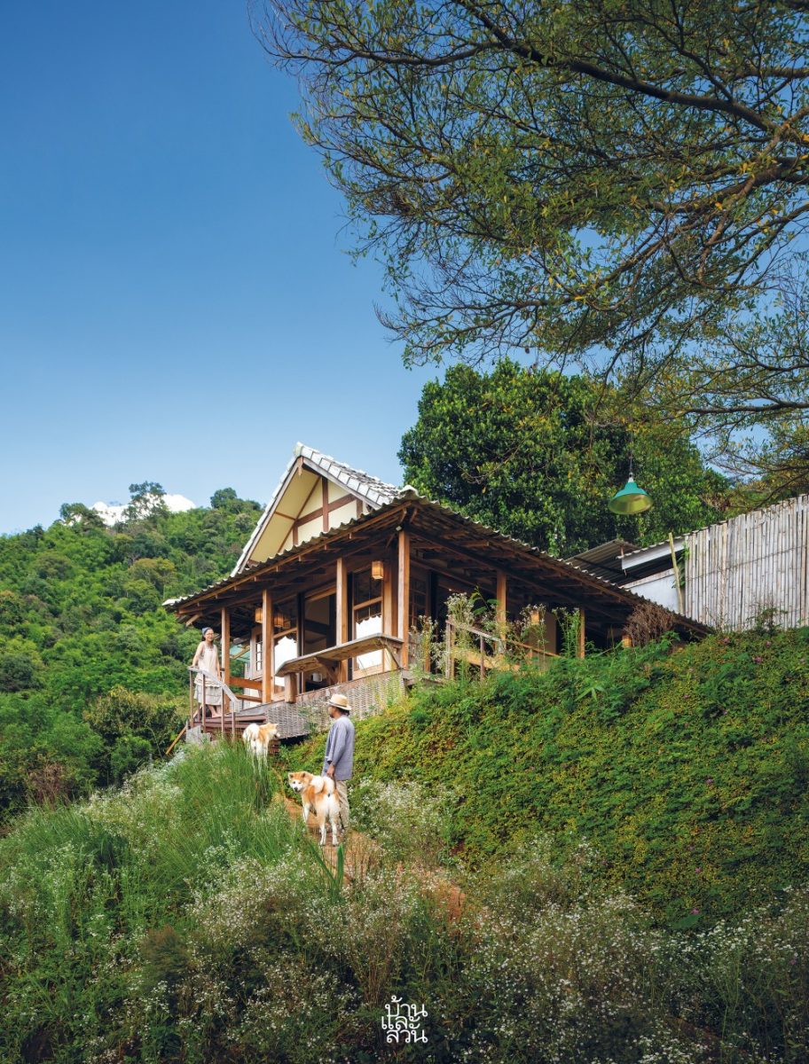 แบบบ้านไม้ชั้นเดียวน่าอยู่ 