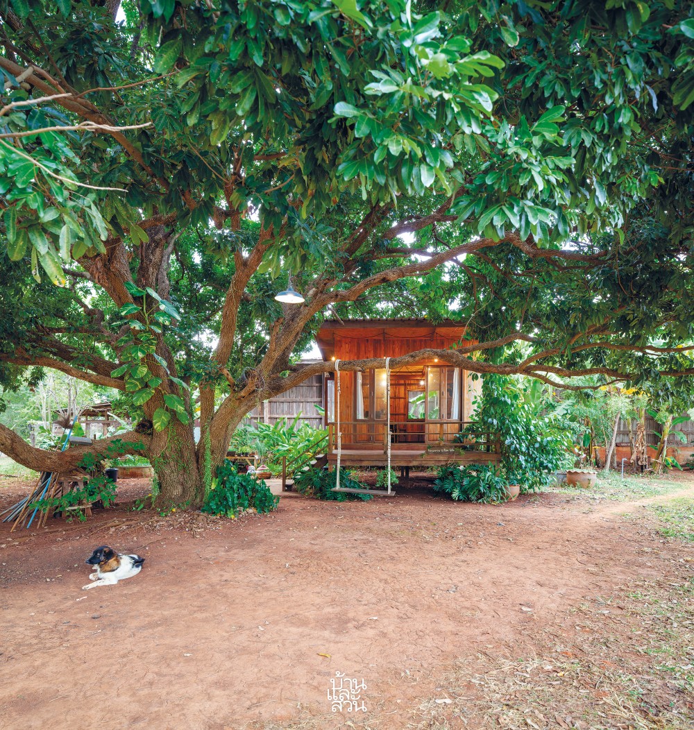 แบบบ้านไม้ชั้นเดียวน่าอยู่ 