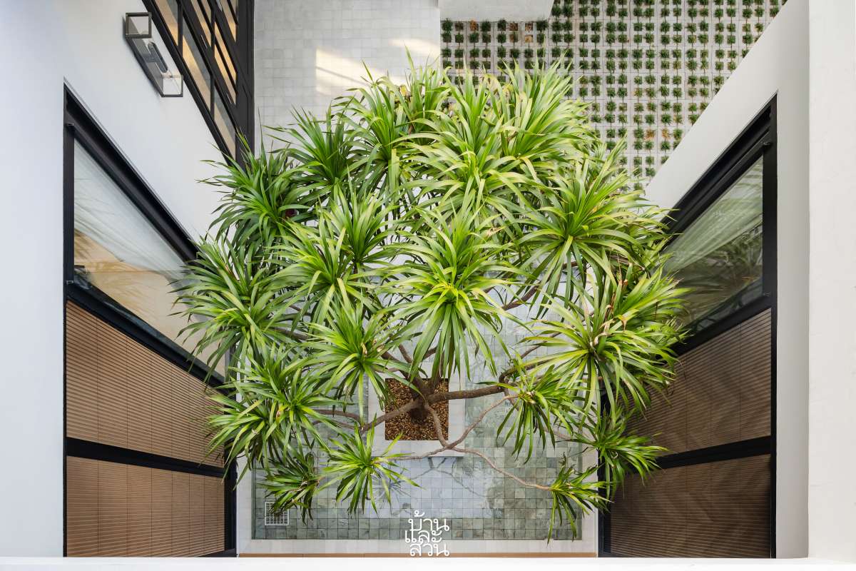 บ้านรีโนเวตสีขาว