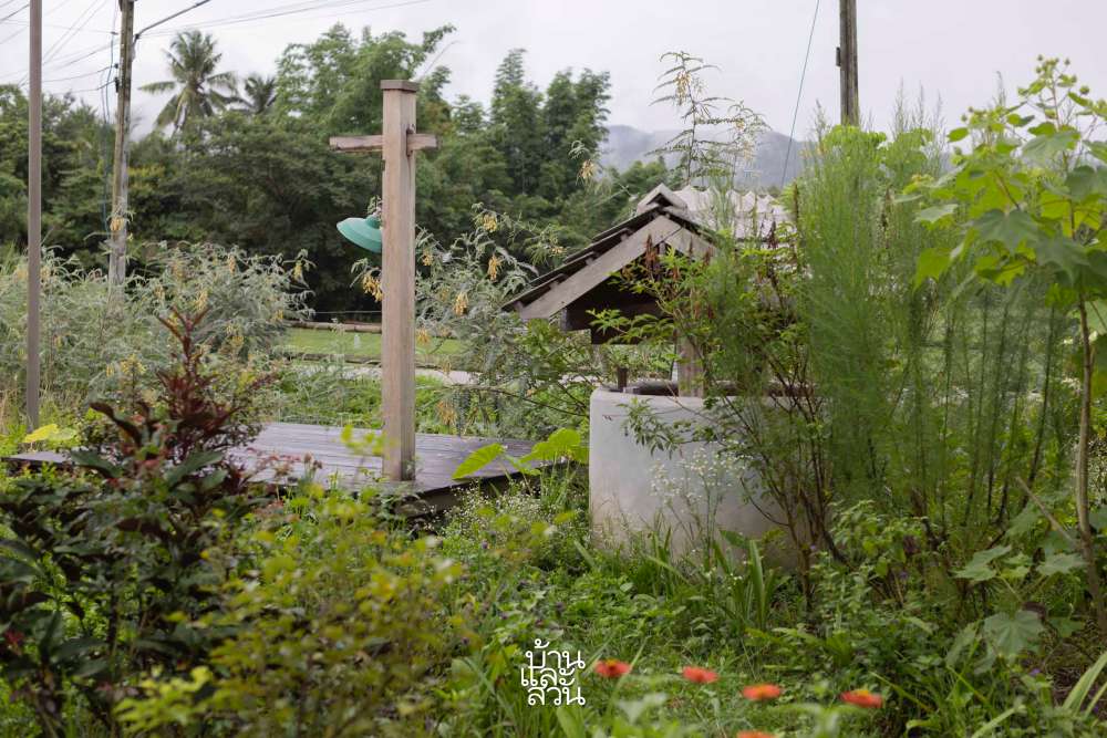 บ้านสวนที่เป็นมิตรกับธรรมชาติ