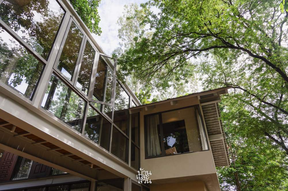 บ้านกลางป่าปลูก