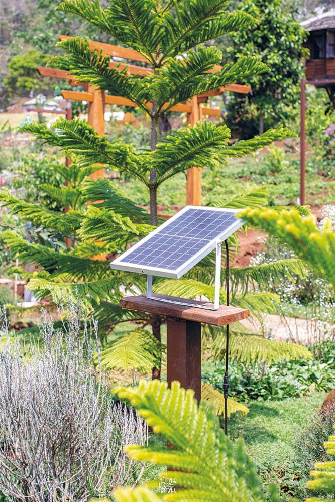 Universal Design Garden