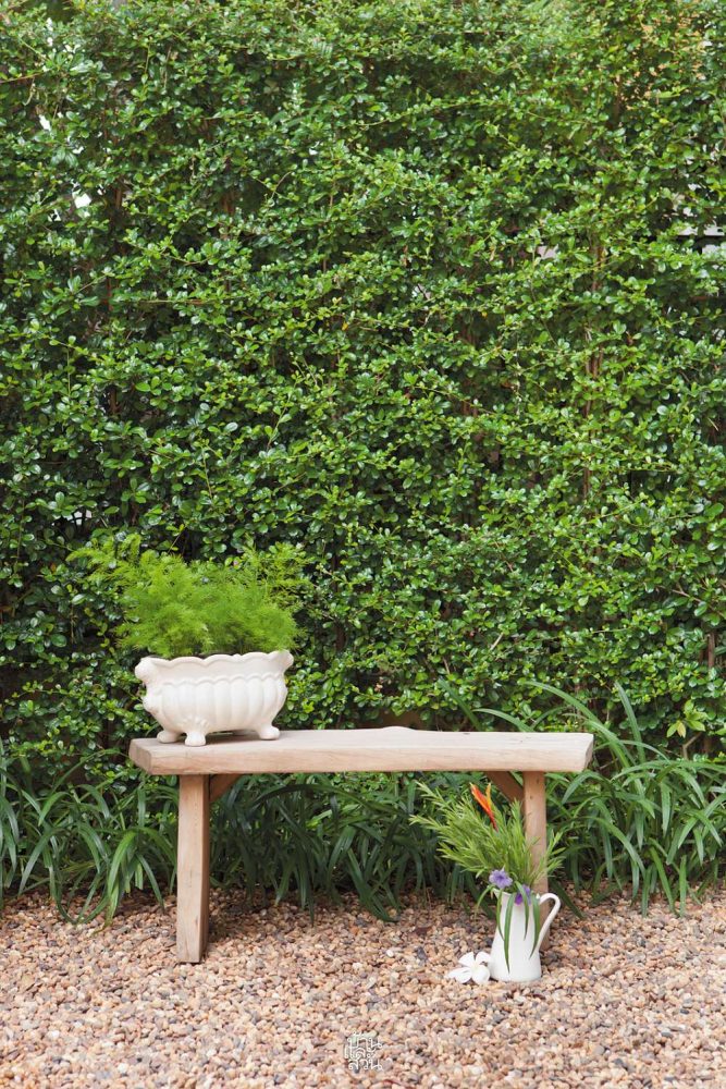 Universal Design Garden