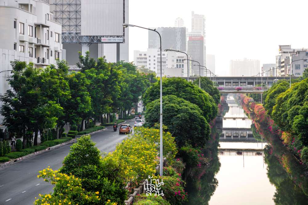 ต้นไม้กับสายไฟฟ้า