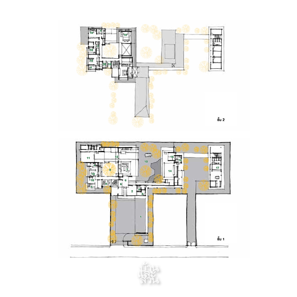 Luxury House Plan  