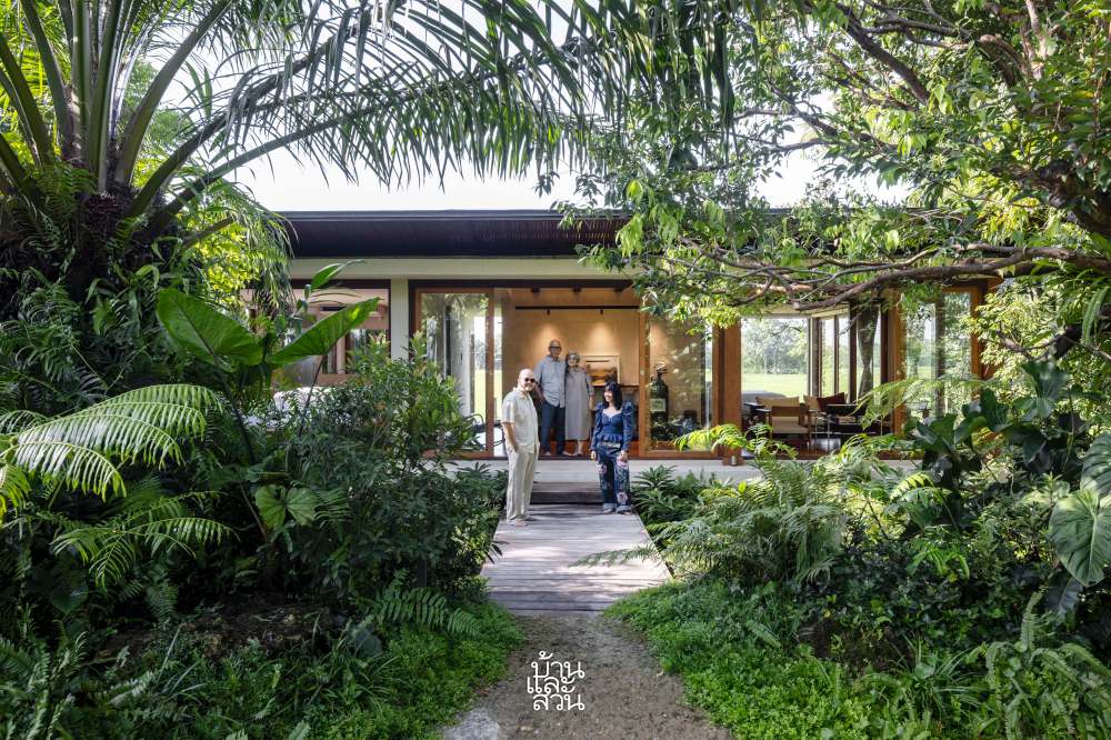 สวนป่าในดงปาล์ม