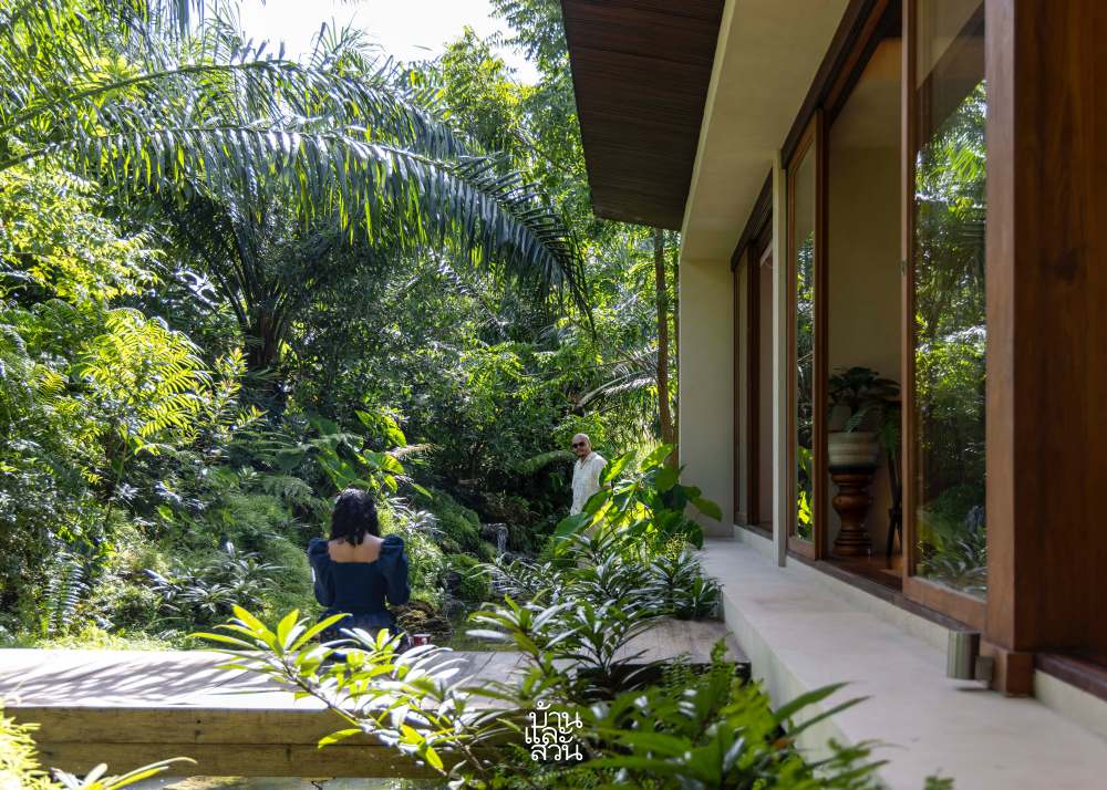 สวนป่าในดงปาล์ม