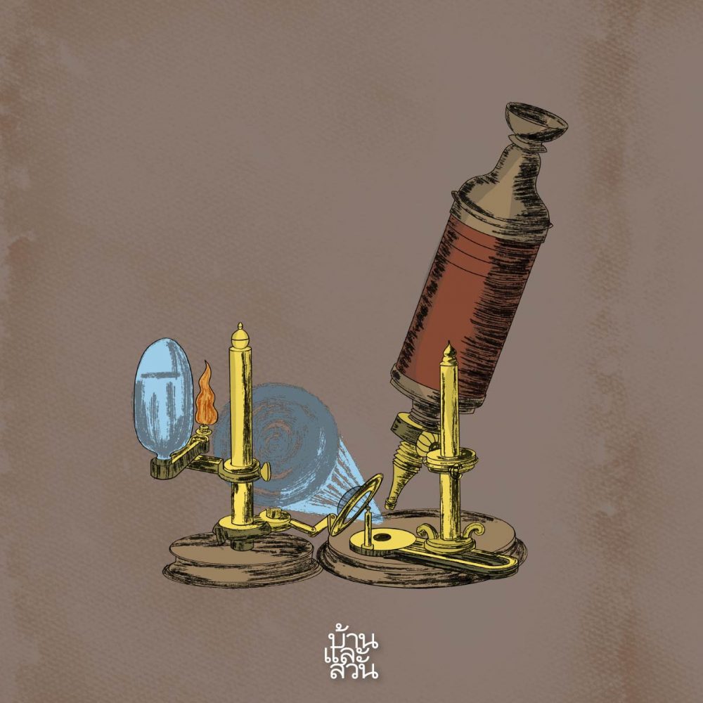 พฤกษศาสตร์