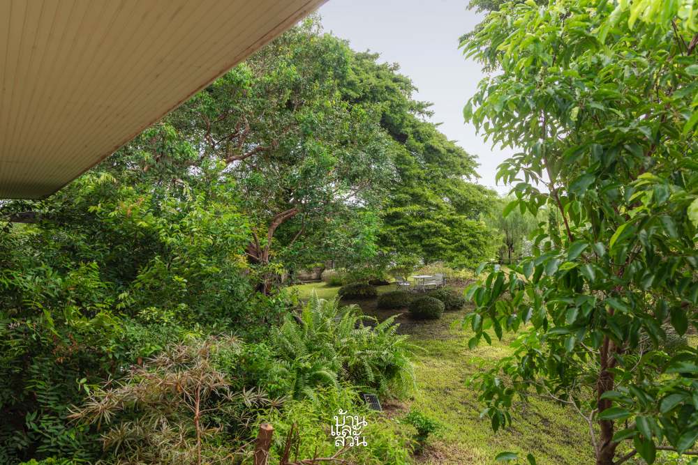 สวนธรรมชาติ