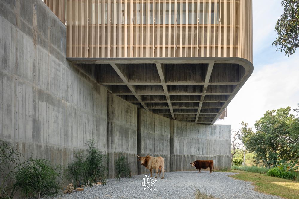 บ้านคอนกรีตยกสูงกลางหุบเขา