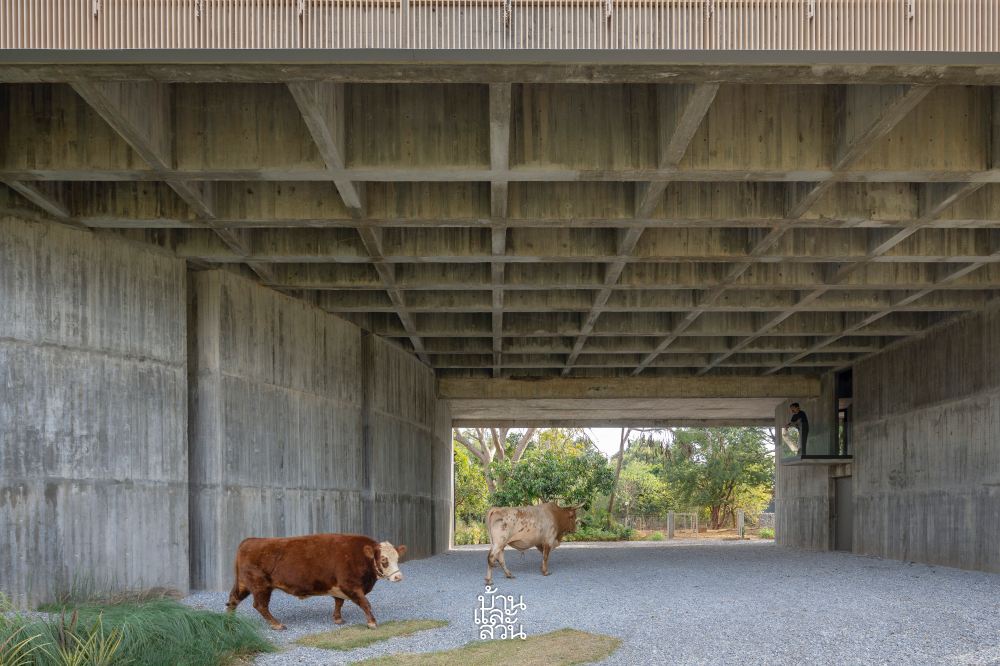 บ้านคอนกรีตยกสูงกลางหุบเขา